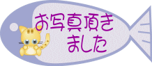 ���ߑ��Ȃǂ������p�̎ʐ^�ł��B